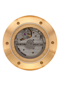 Spectra Black / Gold View 4