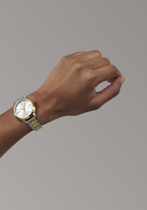 Optimist Silver / Gold View 6