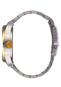 2PAC Sentry Stainless Steel Gold / Silver / Black View 3