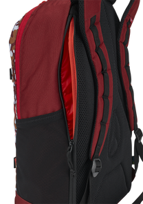 Ransack Backpack Matisse View 5